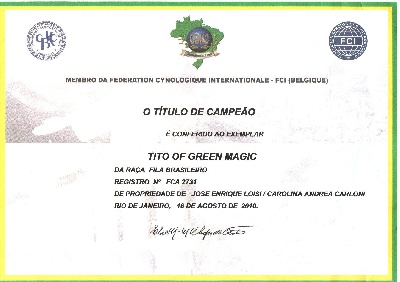 Of Fazenda dos Amigos da Vida - Champion Certificat FCI Tito Of Green Magic